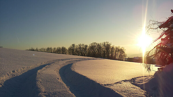 Winterurlaub in Drachselsried